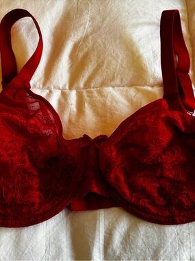 HSIA Red Lace Underwire Bra